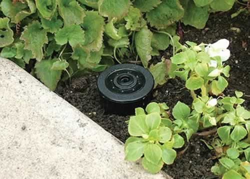 sprinkler hide a key
