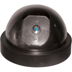 Fake Dome Camera
