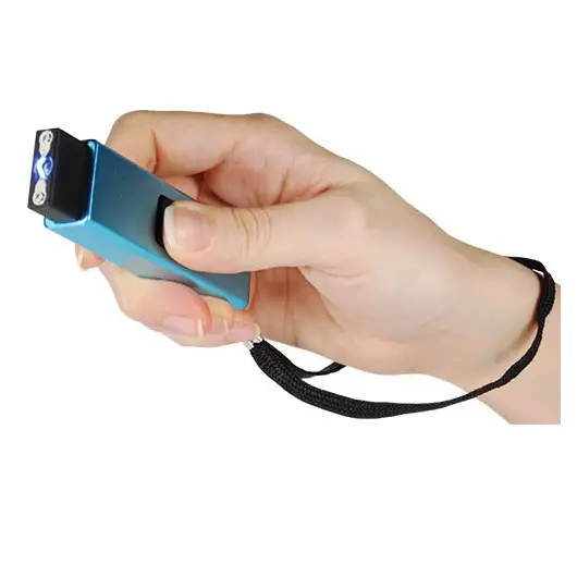 Mini Stun Gun