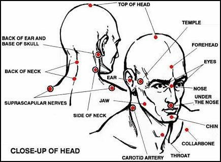 Pressure Points for Self Defense