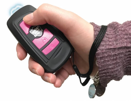 Compact Stun Gun