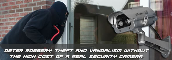 Dummy Cameras Protect Without the High Cost