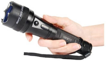 Flashlight Stun Gun