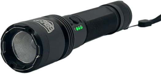 Dual Function Stun Flashlight