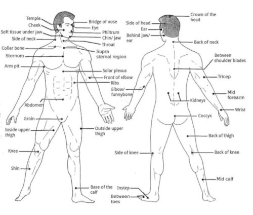 Pressure Points