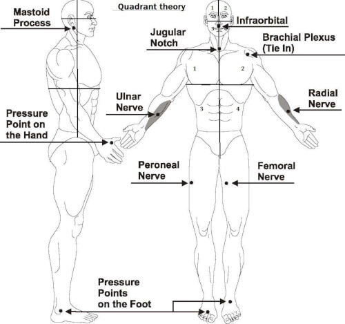 Self Defense Pressure Points