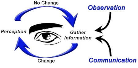 Cycle of Situational Awareness