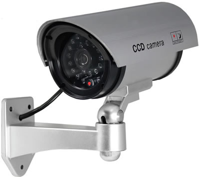 Smart Dummy Cameras