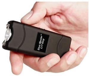 Lilguy Stun Gun