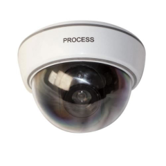Dummy Dome Camera