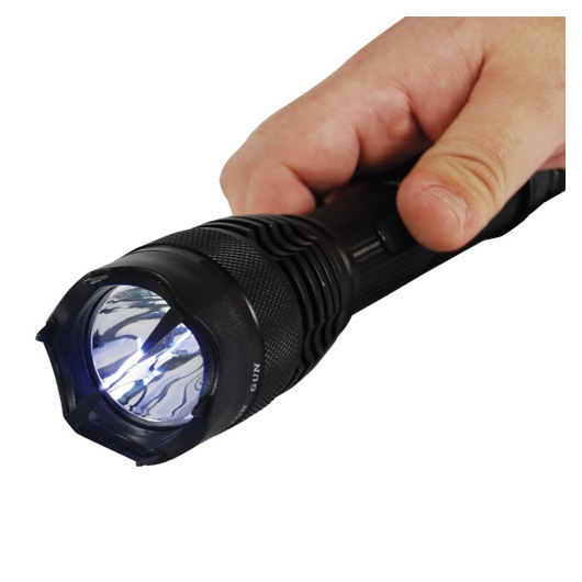 Flashlight Stun Gun