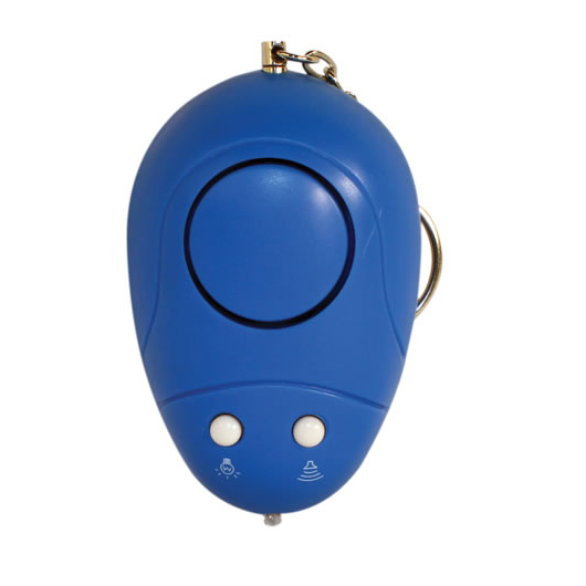 What Is The Best Keychain Alarm at Dana Marshall blog
