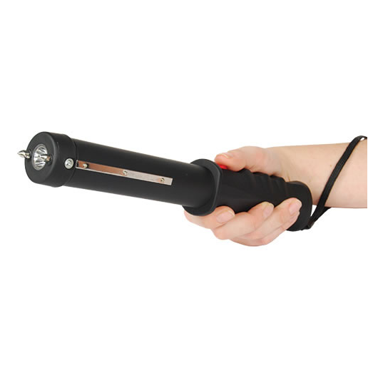 Stun Stick for Dogs