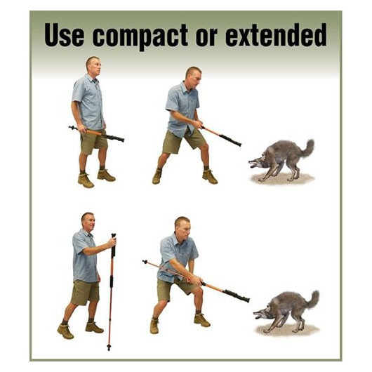 Stun Gun Walking Stick Have Protection While Hiking TBOTECH