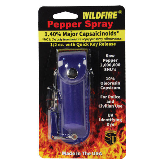 Blue Wildfire Keychain