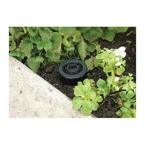 In the Ground Hiding