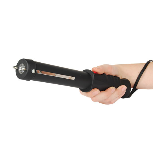 Shock Stick for Dogs
