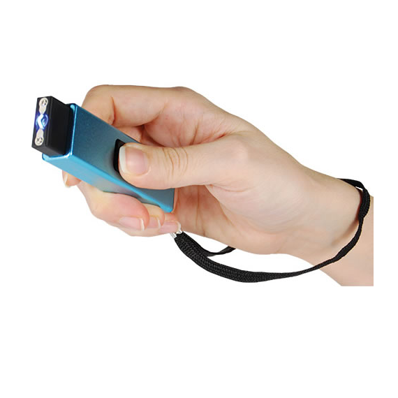 Mini Stun Gun