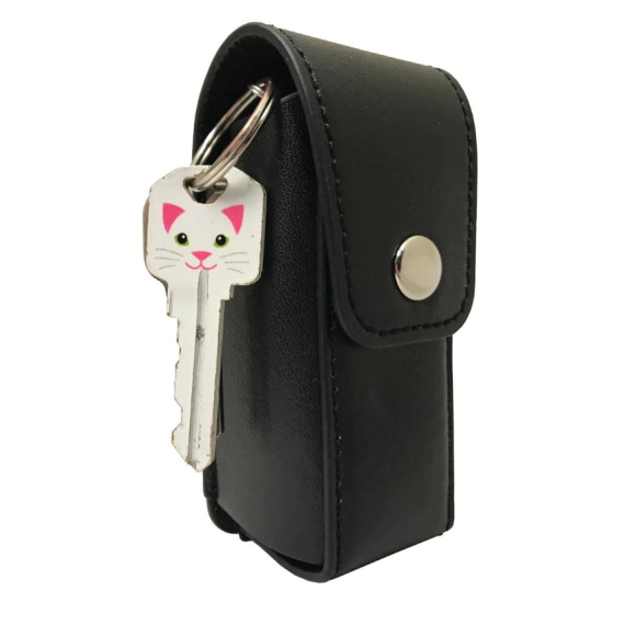 Keychain Taser with Holster